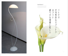 画像をギャラリービューアに読み込む, スタンドライト DYKF001 (インテリア照明 インテリアライト フロアスタンド フロアランプ)
