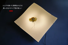 画像をギャラリービューアに読み込む, シーリングライト HLZKC002 (照明 照明器具 間接照明 LED おしゃれ 天井照明 デザイン インテリア シーリング照明 )