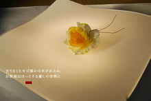 画像をギャラリービューアに読み込む, シーリングライト HLZKC002 (照明 照明器具 間接照明 LED おしゃれ 天井照明 デザイン インテリア シーリング照明 )