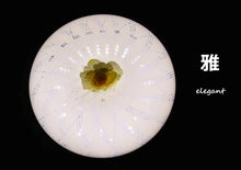 画像をギャラリービューアに読み込む, LEDシーリングライト KPC002 (インテリア照明 間接照明 ペンダントライト 天井照明 北欧)