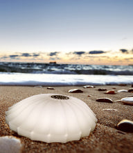 画像をギャラリービューアに読み込む, LEDシーリングライト KPC006 (インテリア照明 間接照明 ペンダントライト 天井照明 北欧)